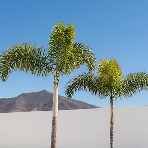 Alay By Buenavilla Villa Playa Blanca (Lanzarote)